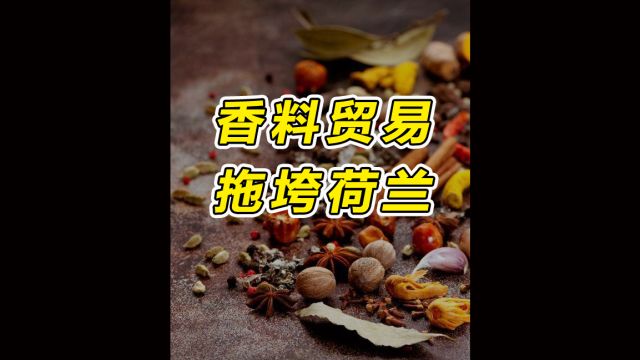 香料垄断贸易最后竟拖垮了荷兰?