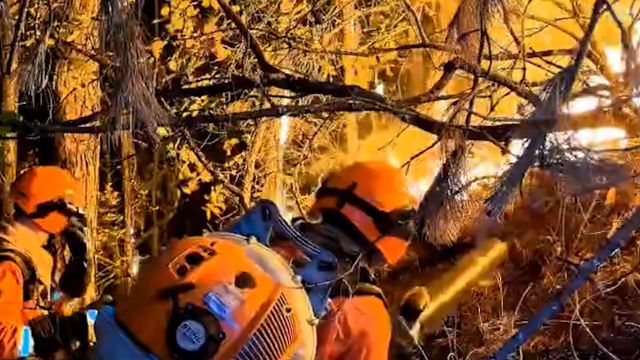 直击现场:消防武警集结云南大理林火区 深夜近距离扑救控制火势