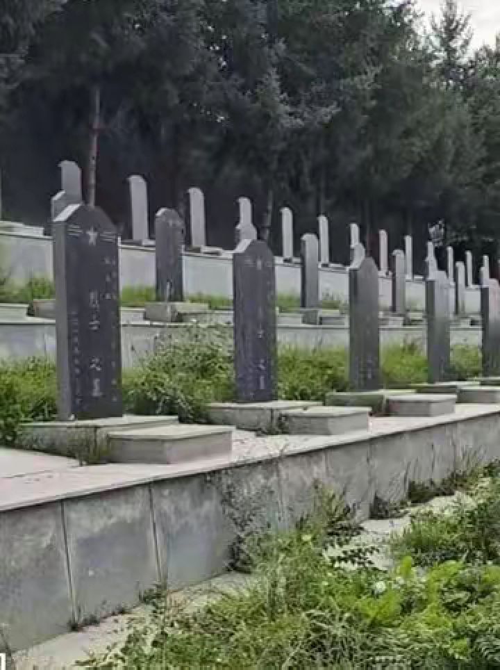 无名烈士墓碑前的小鸟,捎来亲人的哀思.