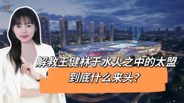 解救王健林于水火之中的太盟,到底什么来头?