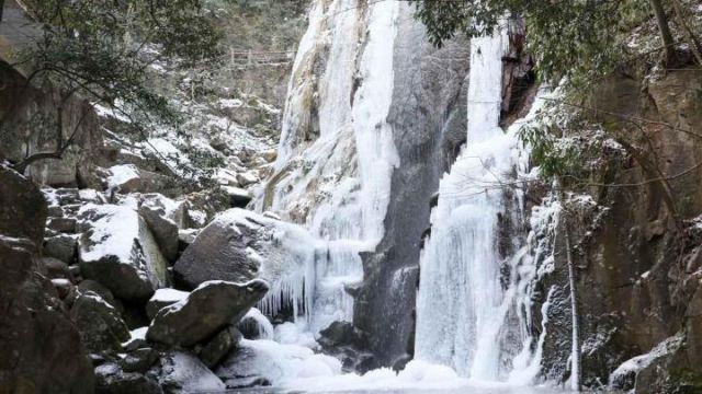 不用北上 在浙江莫干山也能赏“冰瀑”美景