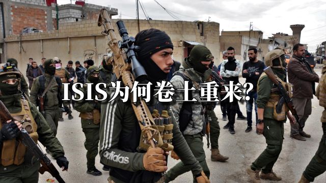 ISIS为何卷土重来?