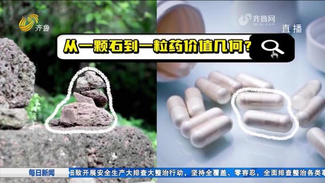 “点石成药”!来潍坊这家企业,看看从一颗石头到一粒药要走多远