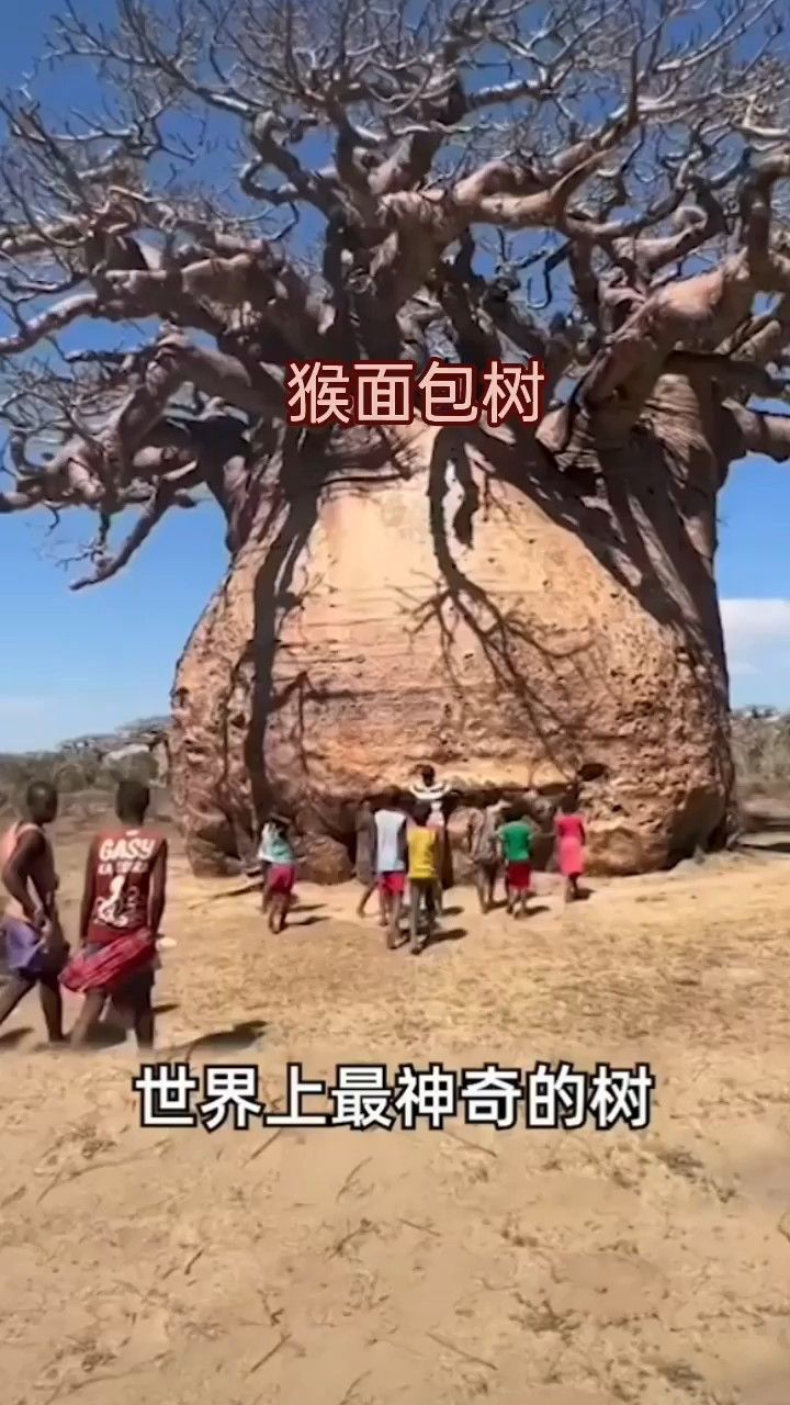 高清1080P在线观看平台_腾讯视频