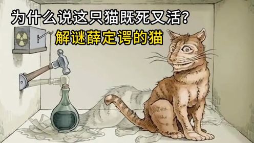 为什么说这只猫既死又活？解谜物理学四大神兽之一，薛定谔的猫_高清1080P在线观看平台_腾讯视频