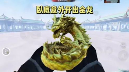 子木仙150：卧底发现绝佳老六点位，竟然意外开出金龙！_高清1080P在线观看平台_腾讯视频