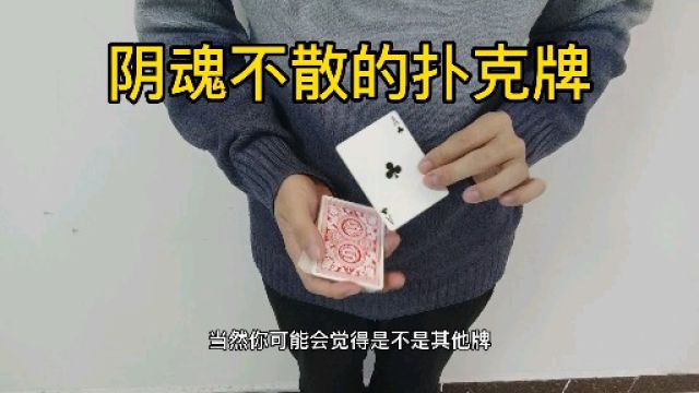 小宇魔术:纯手法超强魔术,阴魂不散的梅花A