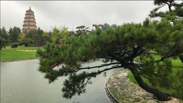 大雨中游大雁塔:人少景美,别有一番风味