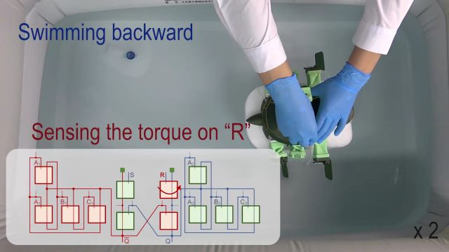 The Innovation | 智能柔性积木引领未来,驱动感知计算无所不能