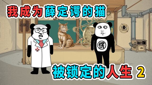 我成为薛定谔的猫,人生概率被锁定,做什么都只有一个固定答案