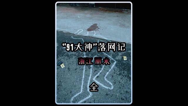 抓捕罪犯:“91大神”落网记 2