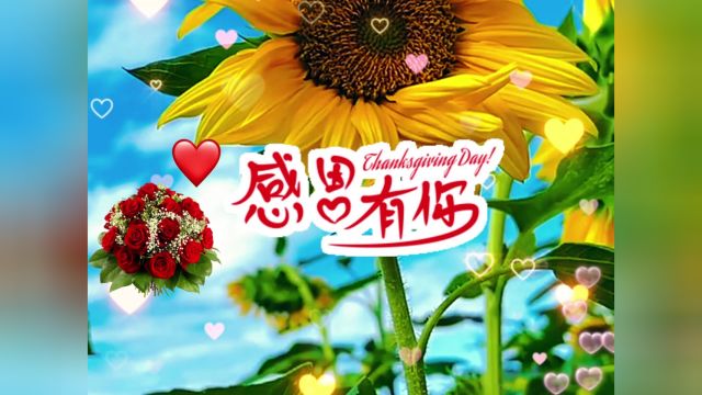 你是我的女人【歌曲】为你准备