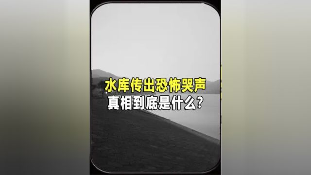 水库传出恐怖哭声?网传的佛山水库事件,真相到底是什么? #2024科普时刻