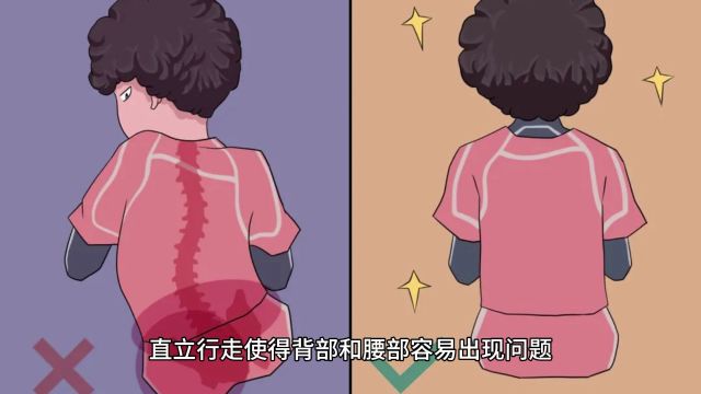 人类是进化最完美的生物吗?