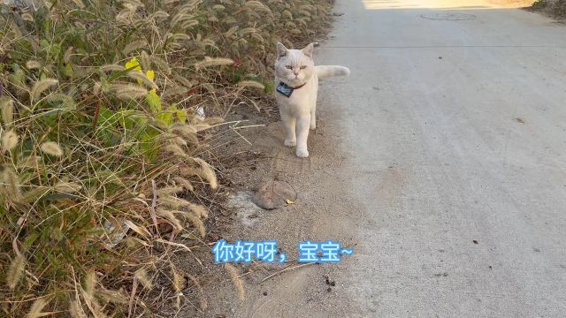 今天是小院家庭成员介绍