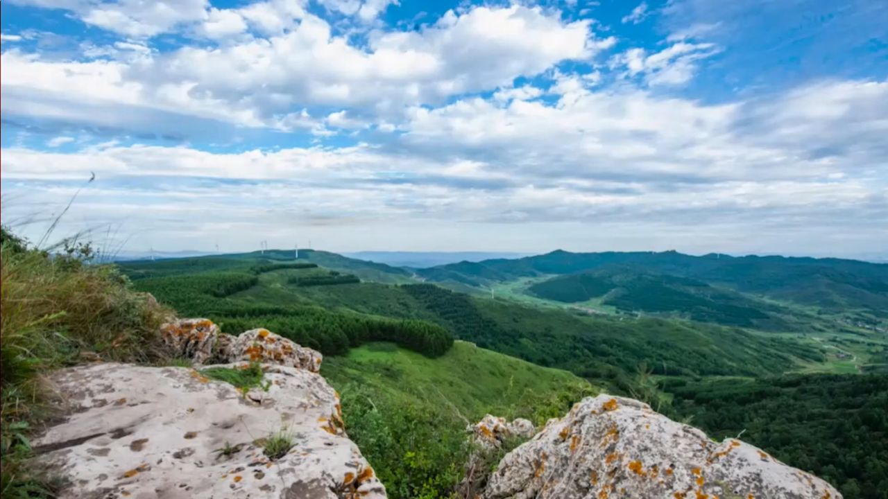 森林康养之歌---山西省黑茶山国有林管理局饮马池康养基地mv