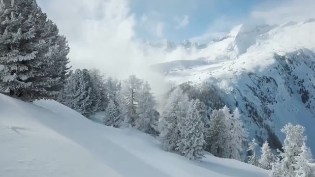 岁暮阴阳催短景,天涯霜雪霁寒宵