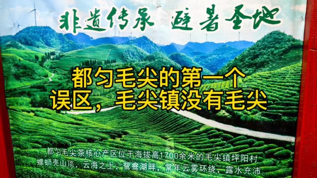 关于总结都匀毛尖第一个误区,找核心产区不要去毛尖镇那里没有茶