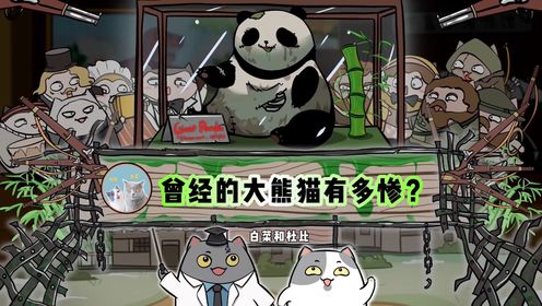 大熊猫是怎么成为濒危动物的？曾经的大熊猫到底有多惨？_高清