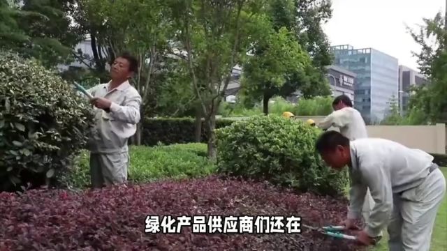 中国园林绿化平台正式入驻腾讯启航