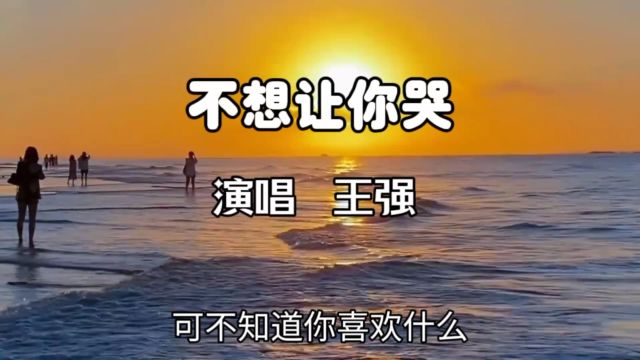 王强演唱《不想让你哭》