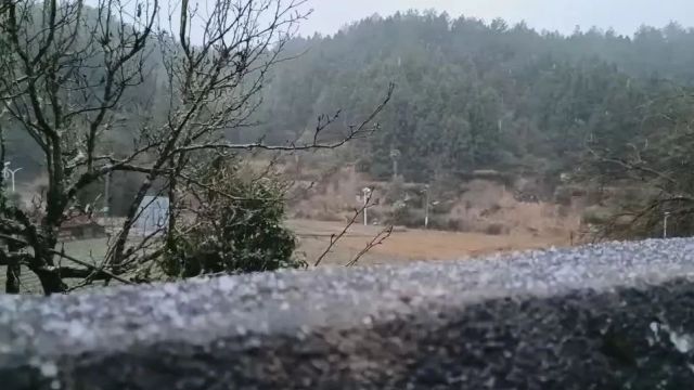 “尔滨”的雪飘来连城啦~各乡镇最新雪景→