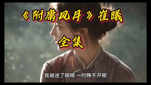 《附庸风月》崔曦周铭深&小说