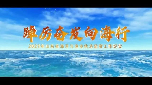 踔厉奋发向海行——2023年山东省海洋与渔业执法监察工作纪实