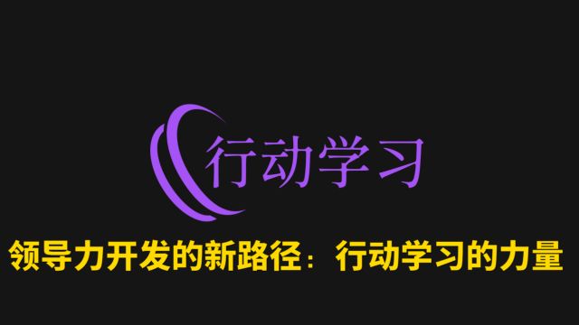 59领导力开发的新路径:行动学习的力量