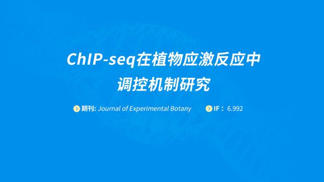 易基因ChIPseq在植物应激反应中调控机制研究