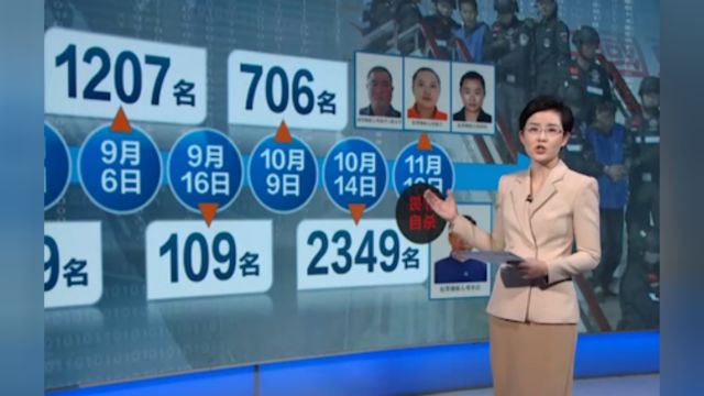 打击跨境电诈犯罪,打击缅北涉我电信网络诈骗获重大战果