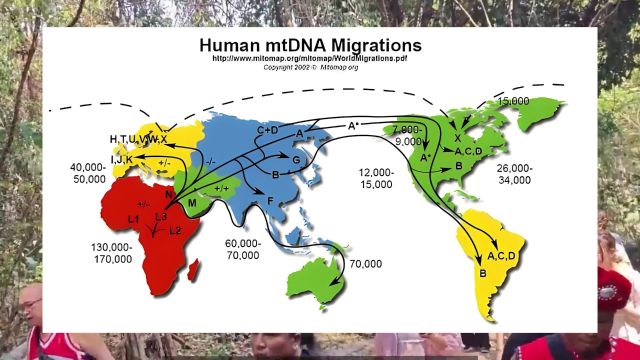从DNA角度聊聊佤族,德昂族与克钦族,居然和我们血脉同为一支!