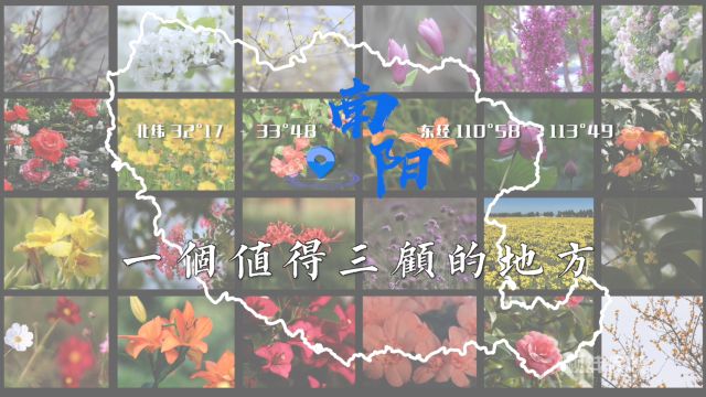 二十四节气之花开总