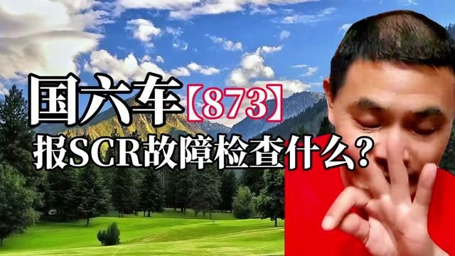 873国六车,报SCR故障检查哪些地方?#国六 #硫中毒 #SCR转化效率低 #尿素结晶 #限速限扭 #频繁再生