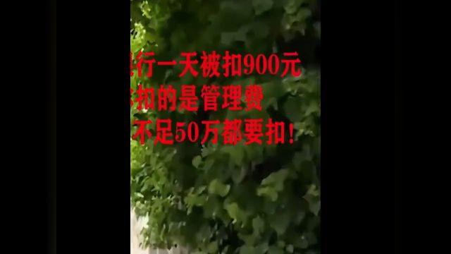 一万元存入银行一天时间被扣900讨要说法却被告知扣的是管理费银行:存款不足50万都要扣!#纪录片#纪实故事#银行#存钱#下集更精彩 3