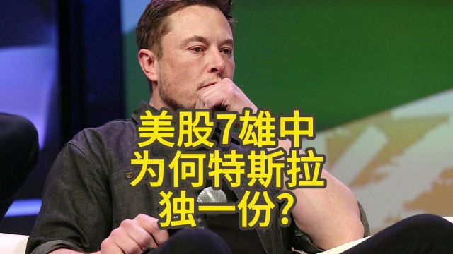 美股7雄中为何特斯拉独一份?