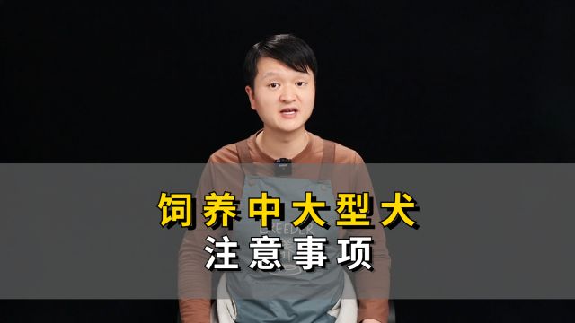 饲养中大型犬的几个注意事项,铲屎官要牢记!