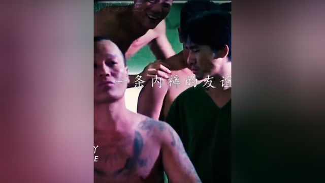 “论内裤的重要性”