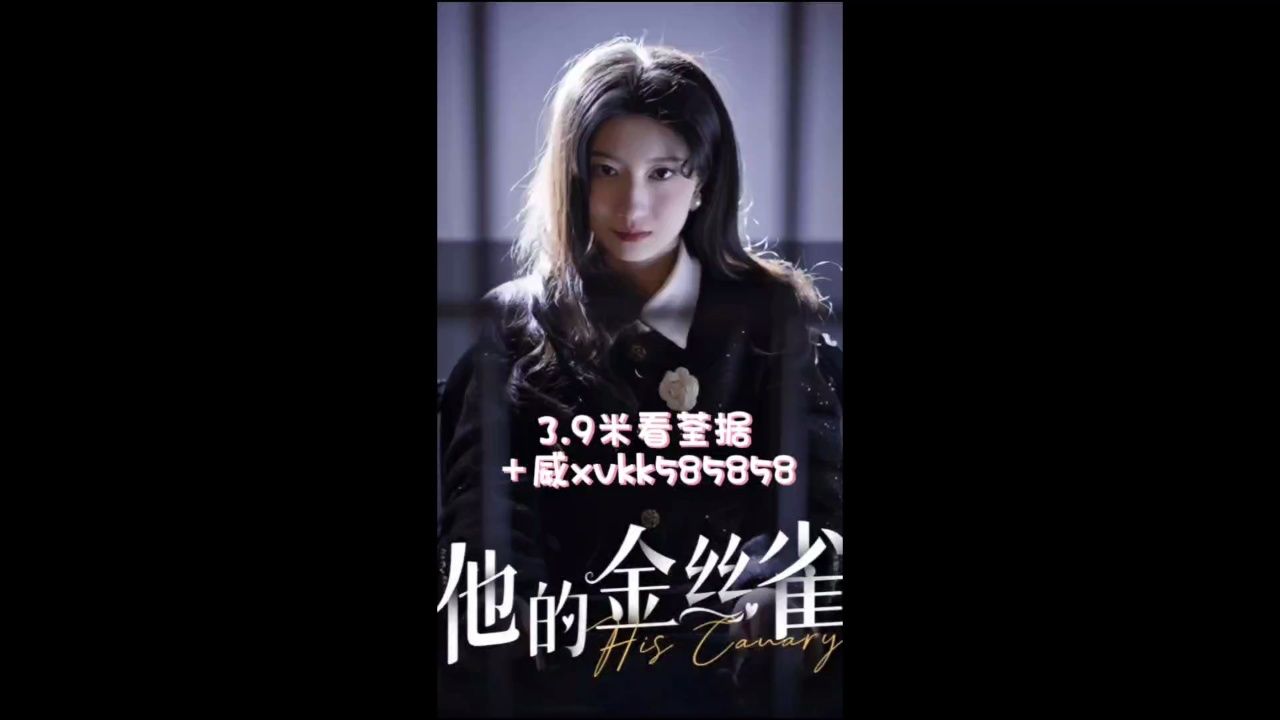 《他的金丝雀》80集