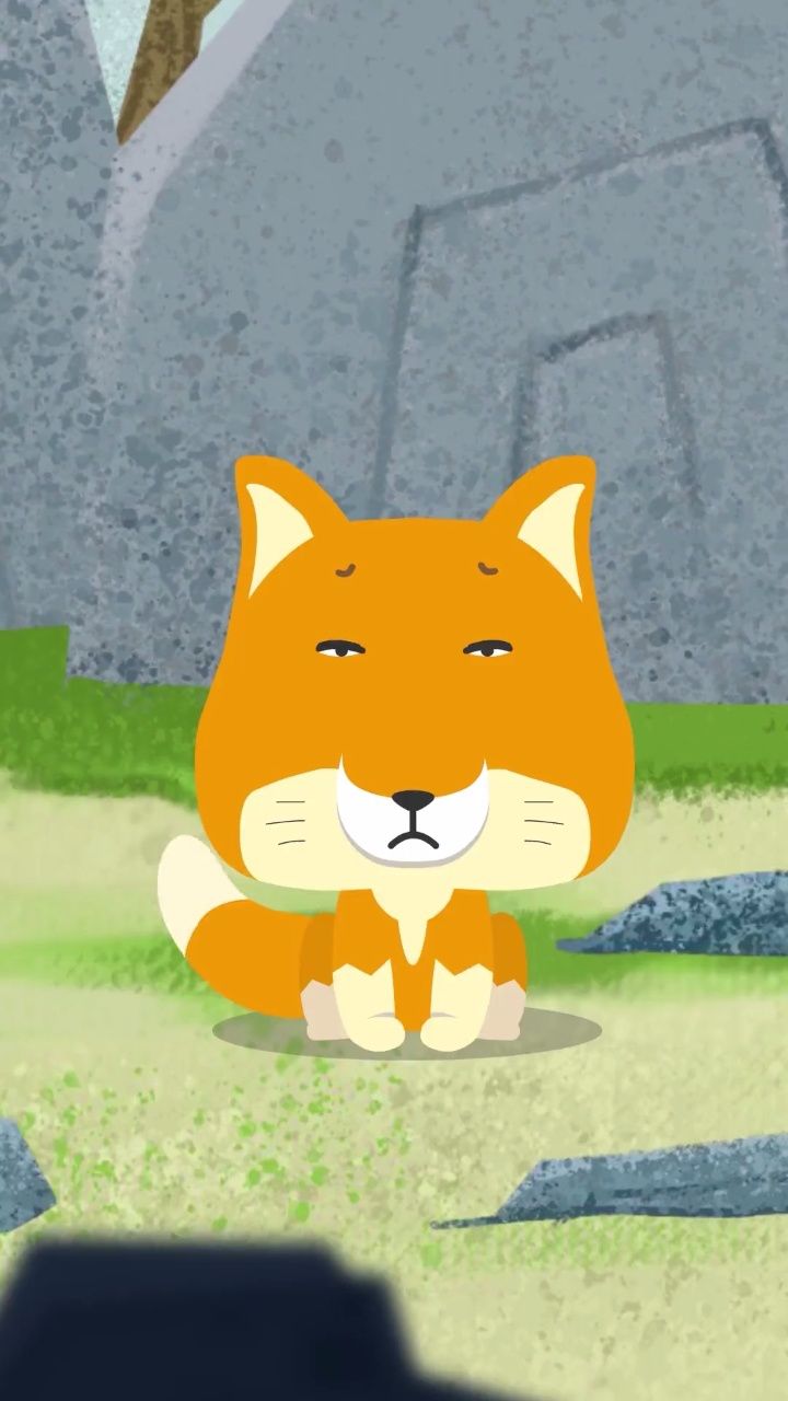 我竟然发现了藏狐和水猴子!