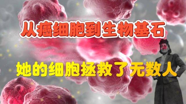 从癌细胞到生物基石:她的细胞拯救了无数人类,海瑞塔的不朽细胞