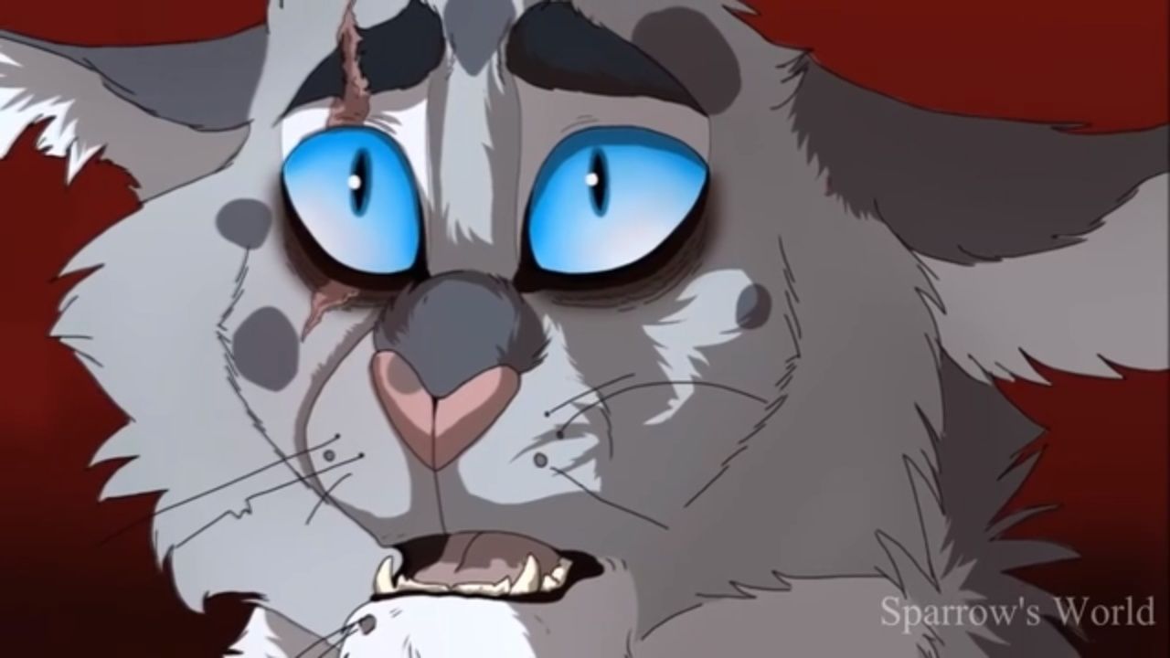 猫武士/虎星&黑莓掌 - second child.