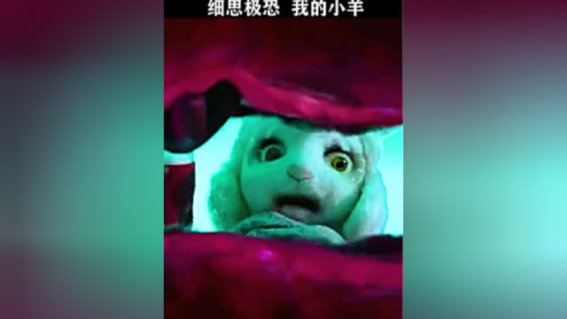 我的小羊放映室创作灵感