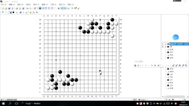 《围棋技巧大全》第13页