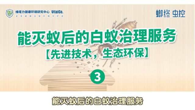 白蚁治理③|能灭蚁后的白蚁治理服务是什么