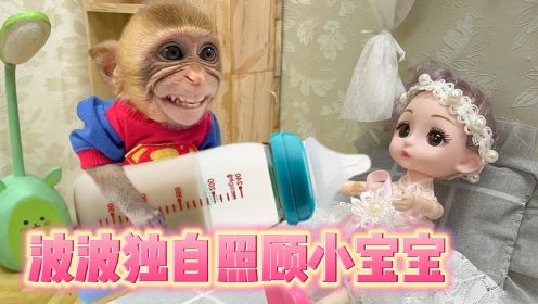 猴子波波很会照顾宝宝，洗衣做饭打扫卫生，太厉害了