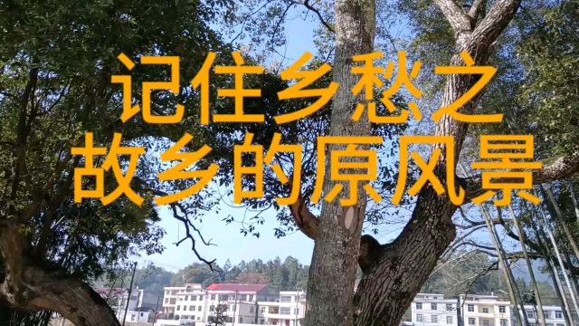 记住乡愁之:故乡的原风景