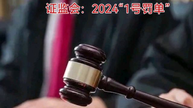 证监会:2024“1号罚单”