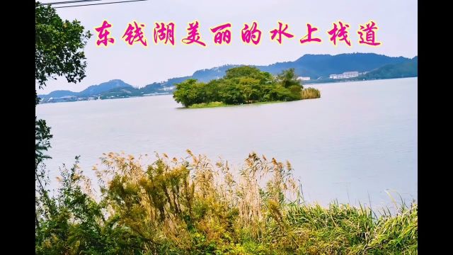 浙江宁波东钱湖有个美丽的水上栈道,看看到底怎么样?