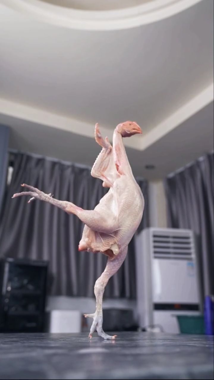 谁能拒绝一份热腾腾的鸡公煲呢